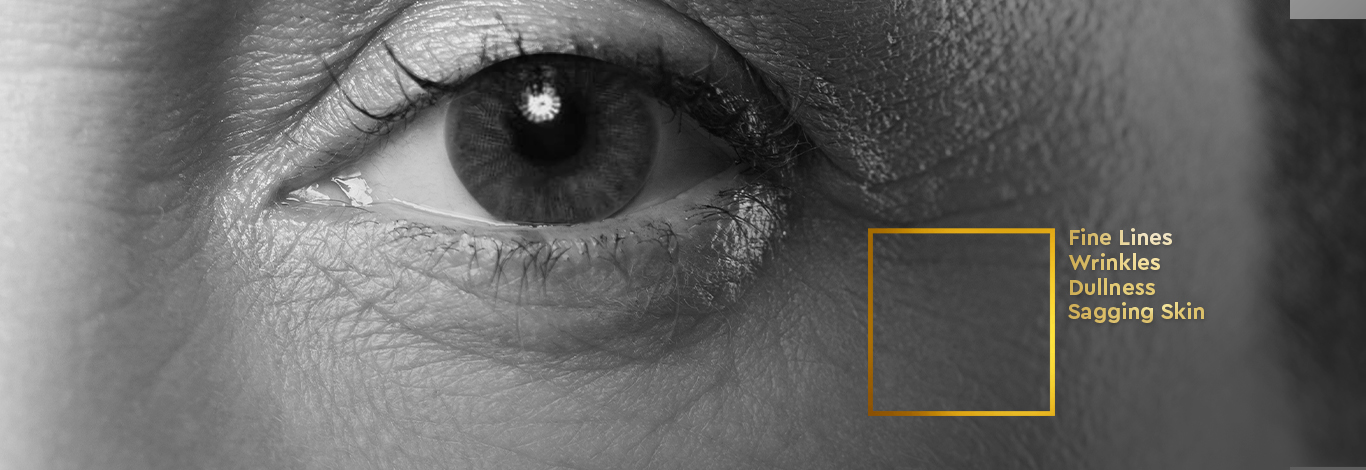 Benefits of 100 g - Cellulosic Peeling Face Scrub