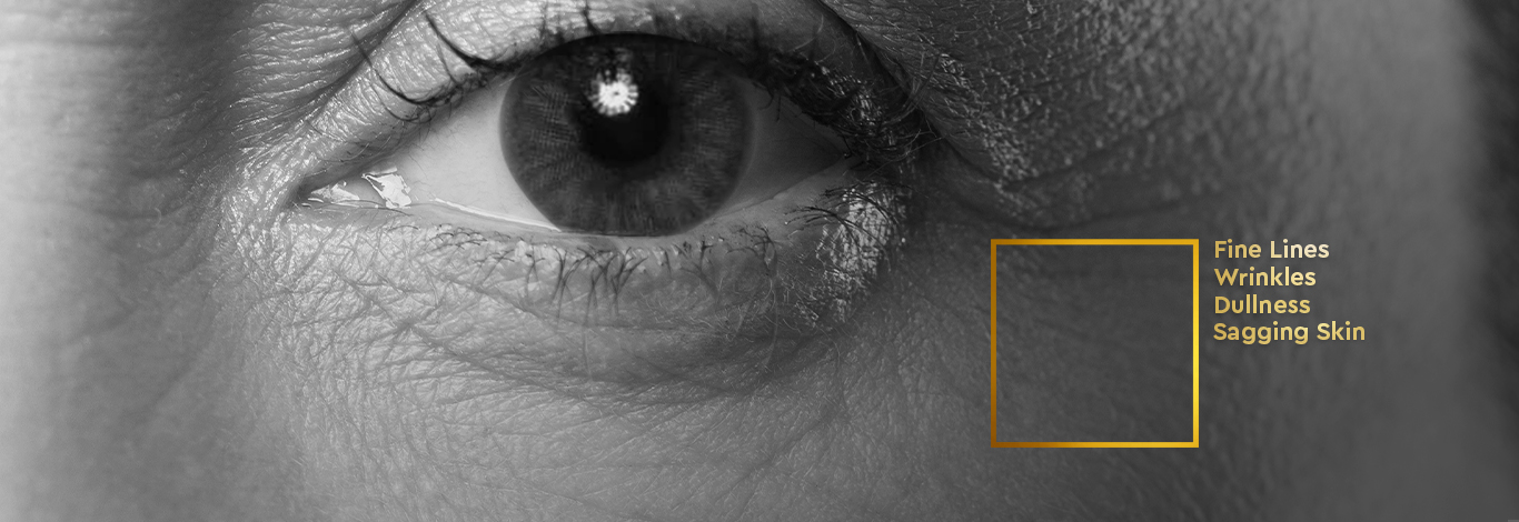 Benefits of ProYouth Bio Face Cream - 100 g